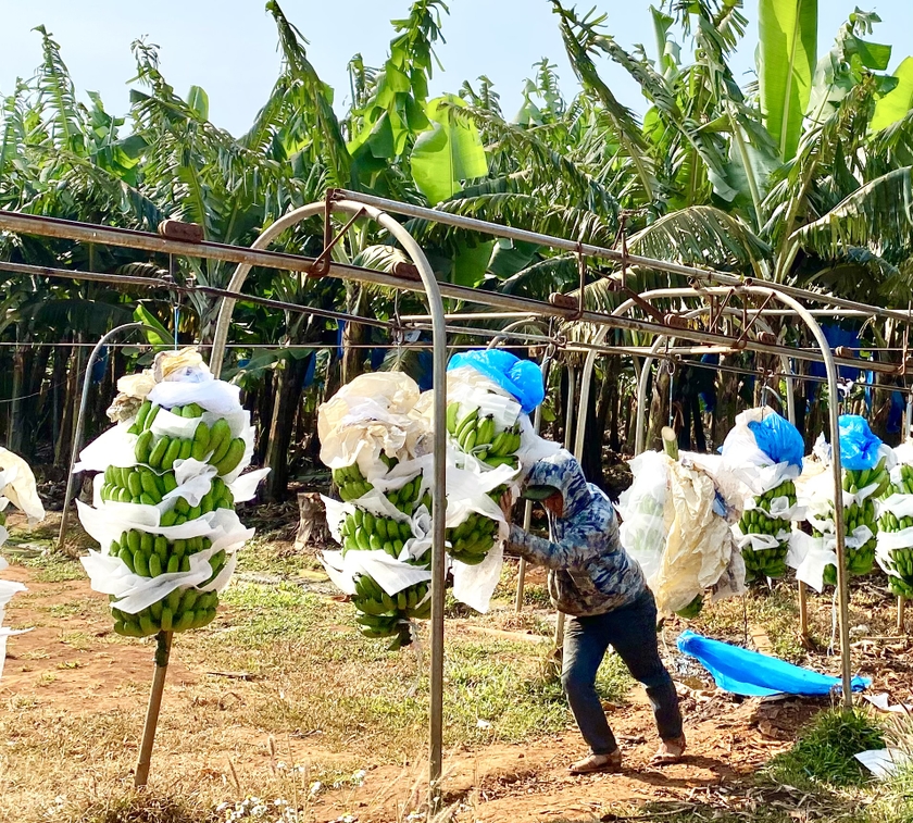 Người lao động rất yên tâm, gắn bó với doanh nghiệp. Ảnh: Hà Duy